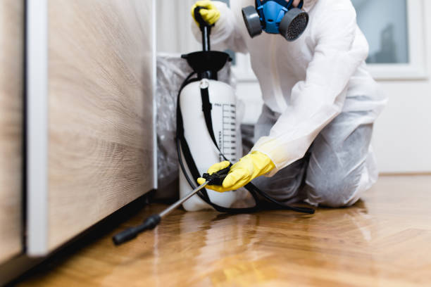 Best Pest Removal Services  in Romeovle, IL