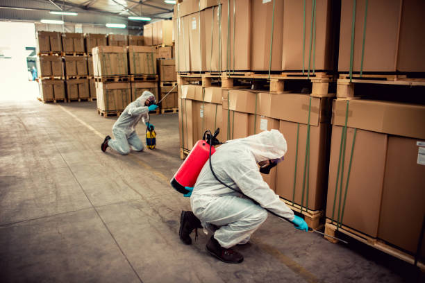 Best Affordable Pest Control Services  in Romeovle, IL