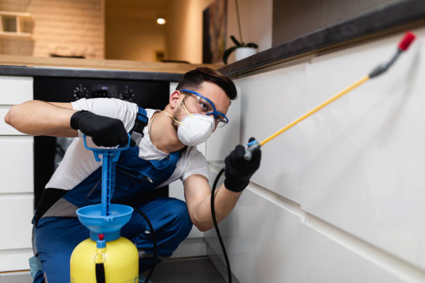 Best Best Pest Control Companies  in Romeovle, IL