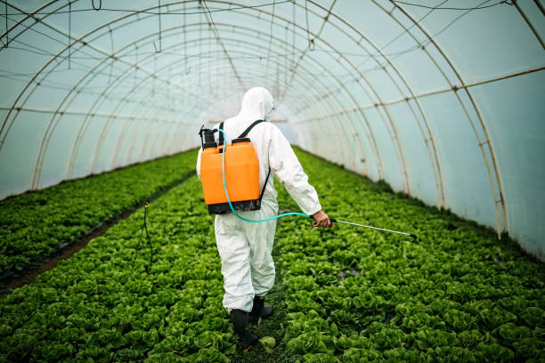 Best Pest Control for Businesses  in Romeovle, IL