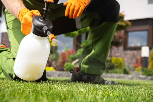 Best Exterminator Services  in Romeovle, IL