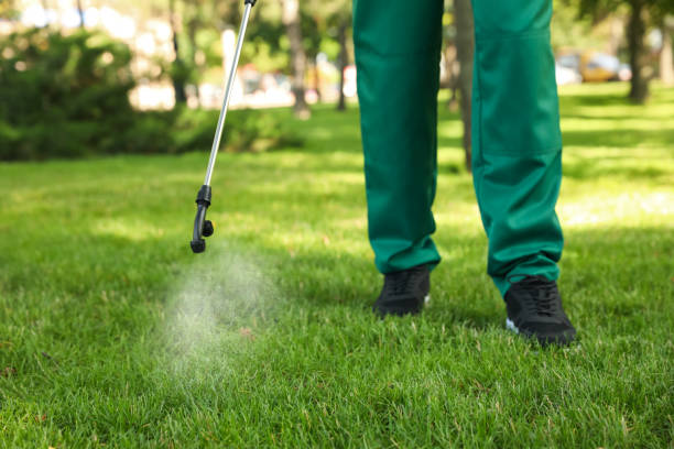 Pest Control Cost in Romeoville, IL