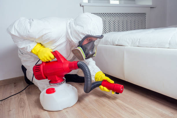 Best Pest Inspection Near Me  in Romeovle, IL