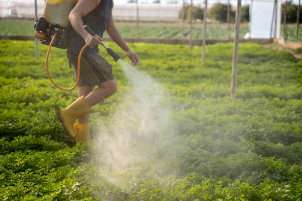 Best Mosquito Control Services  in Romeovle, IL