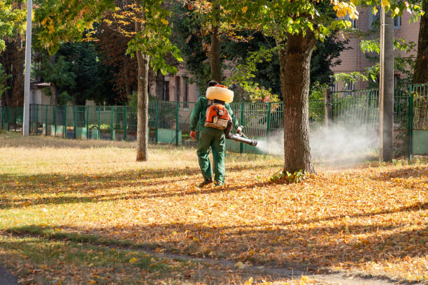 Best Exterminator Services  in Romeovle, IL