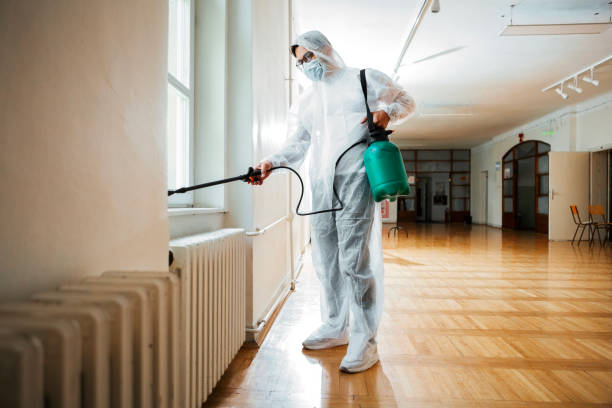 Best Pest Removal Services  in Romeovle, IL