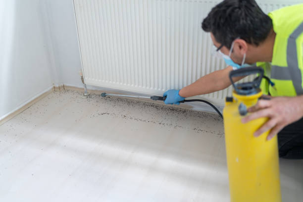 Best Residential Pest Control  in Romeovle, IL
