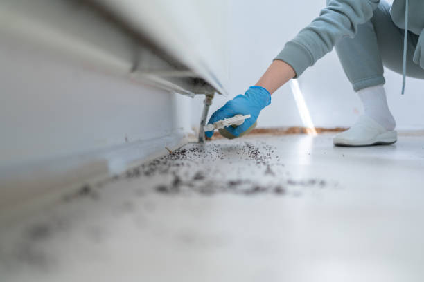 Best Residential Pest Control  in Romeovle, IL